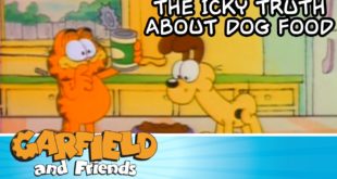 The Icky Truth About Dog Food – Garfield & Friends
