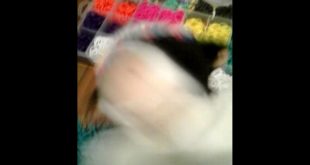 Theres a dog in my house