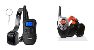 Top 5 Best Dog Training Collar Reviews Best Dog Shock Collar Best Electronic Dog Collar