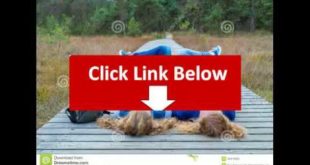 Watch Free Dog House Plans   House Plans Free