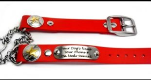 Waterproof Personalized Biothane Martingale Dog Collar with Name Plate